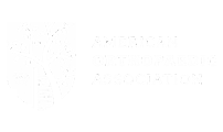 American Orthopaedic Association